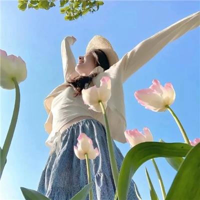 的士飚花