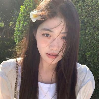 窗边的小荳荳